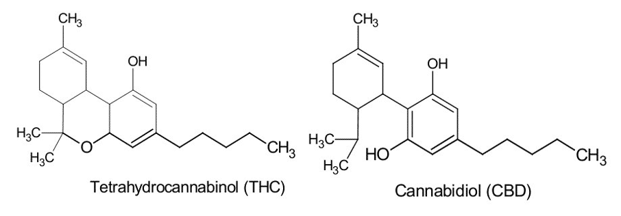 THC & CBD Formel